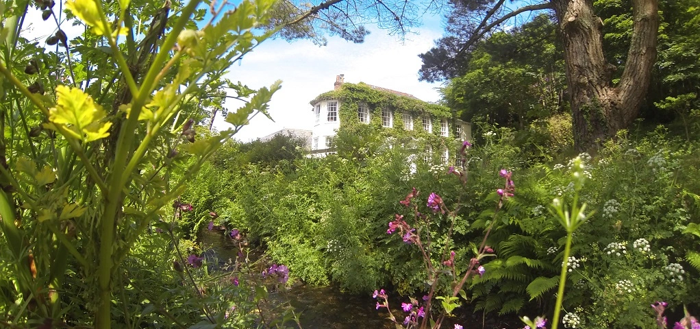 Rose in Vale Country House Hotel