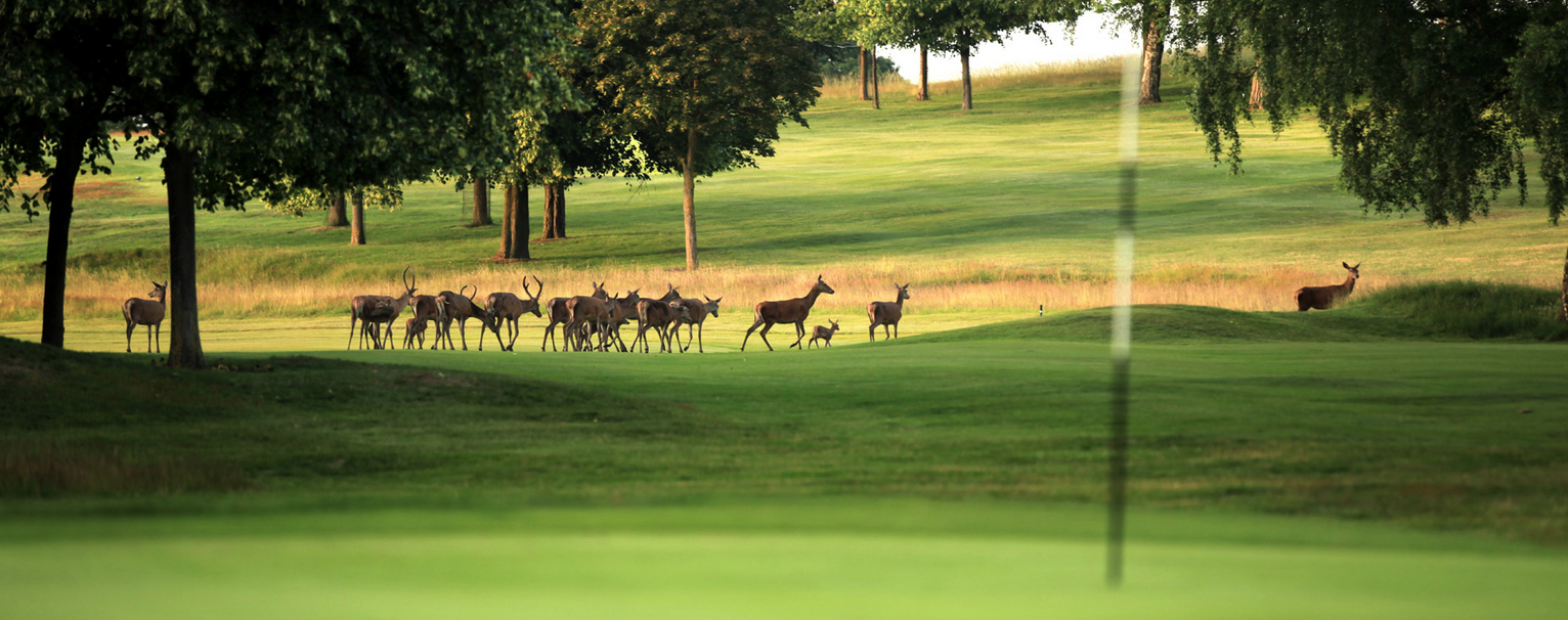 Wollaton Park Golf Club